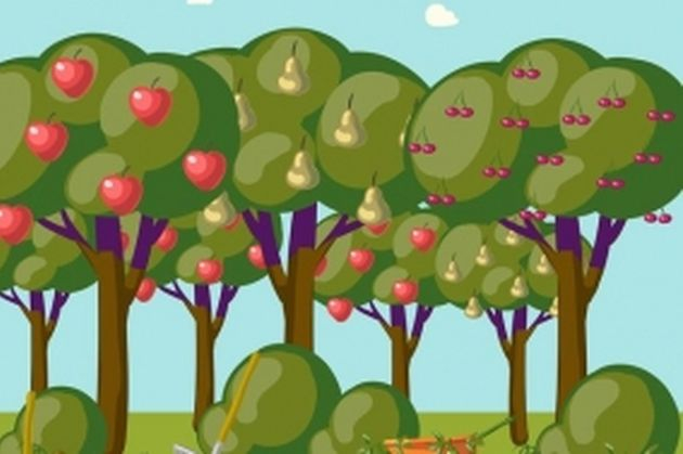 4 обязательных дерева для плодового сада