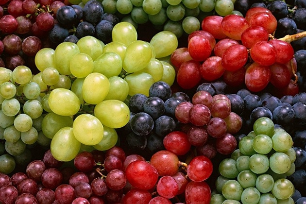 День винограда