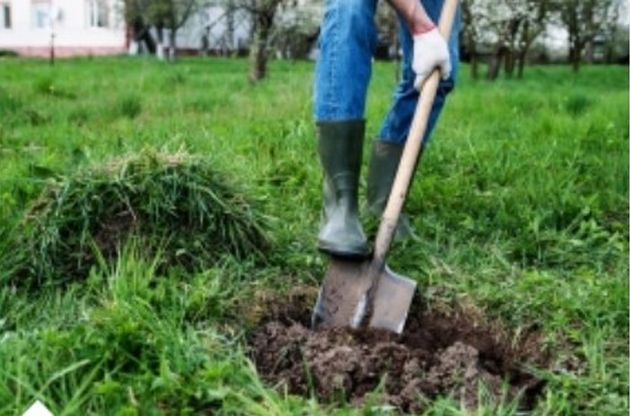 Как правильно сделать посадочную яму