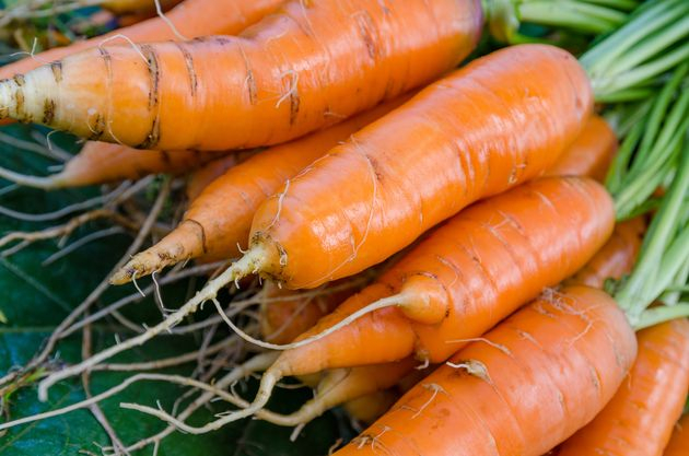Морковь-целительница